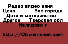 Радио видео няня  › Цена ­ 4 500 - Все города Дети и материнство » Другое   . Тверская обл.,Нелидово г.